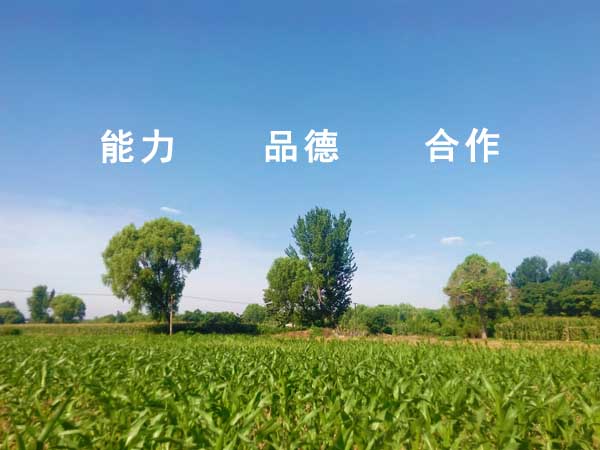 人才理念