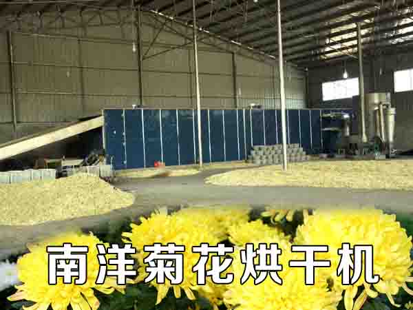 菊花烘幹機（jī）