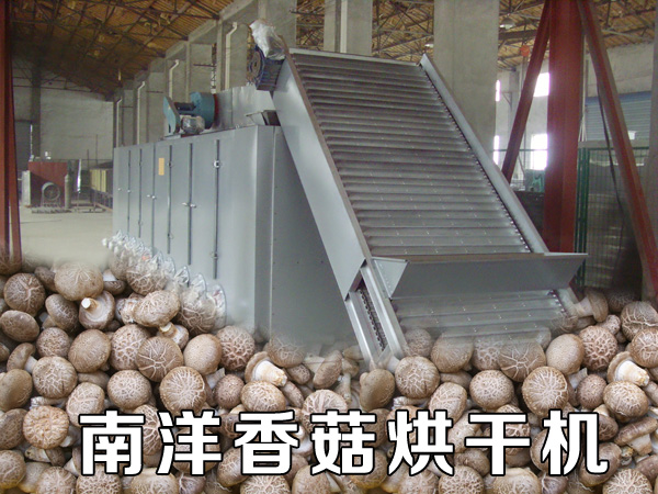 香菇(gū)烘幹機 香菇烘幹機(jī)