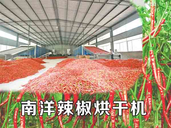 辣椒烘幹機（jī）