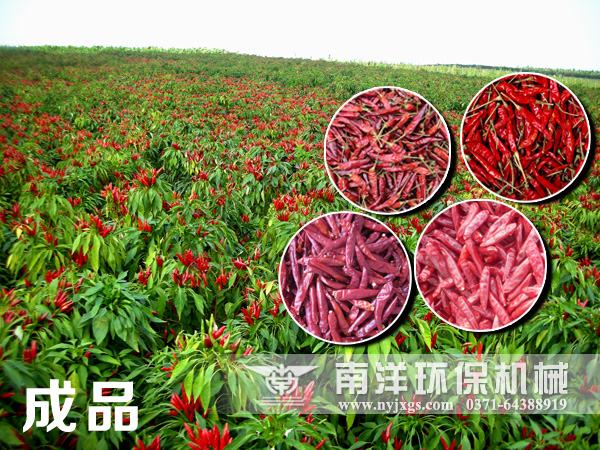 烘幹後（hòu）的辣椒（jiāo）