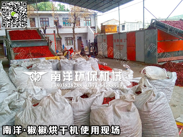 辣椒烘幹機使用現場