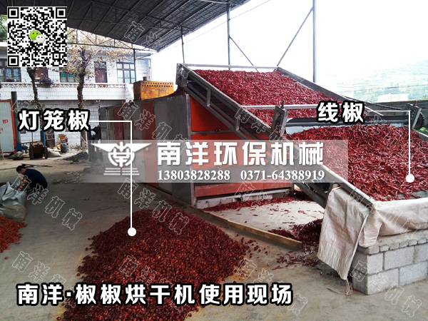 辣椒烘幹機用戶現場