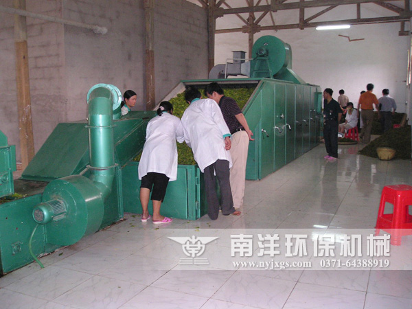 金銀（yín）花烘幹機使用現場